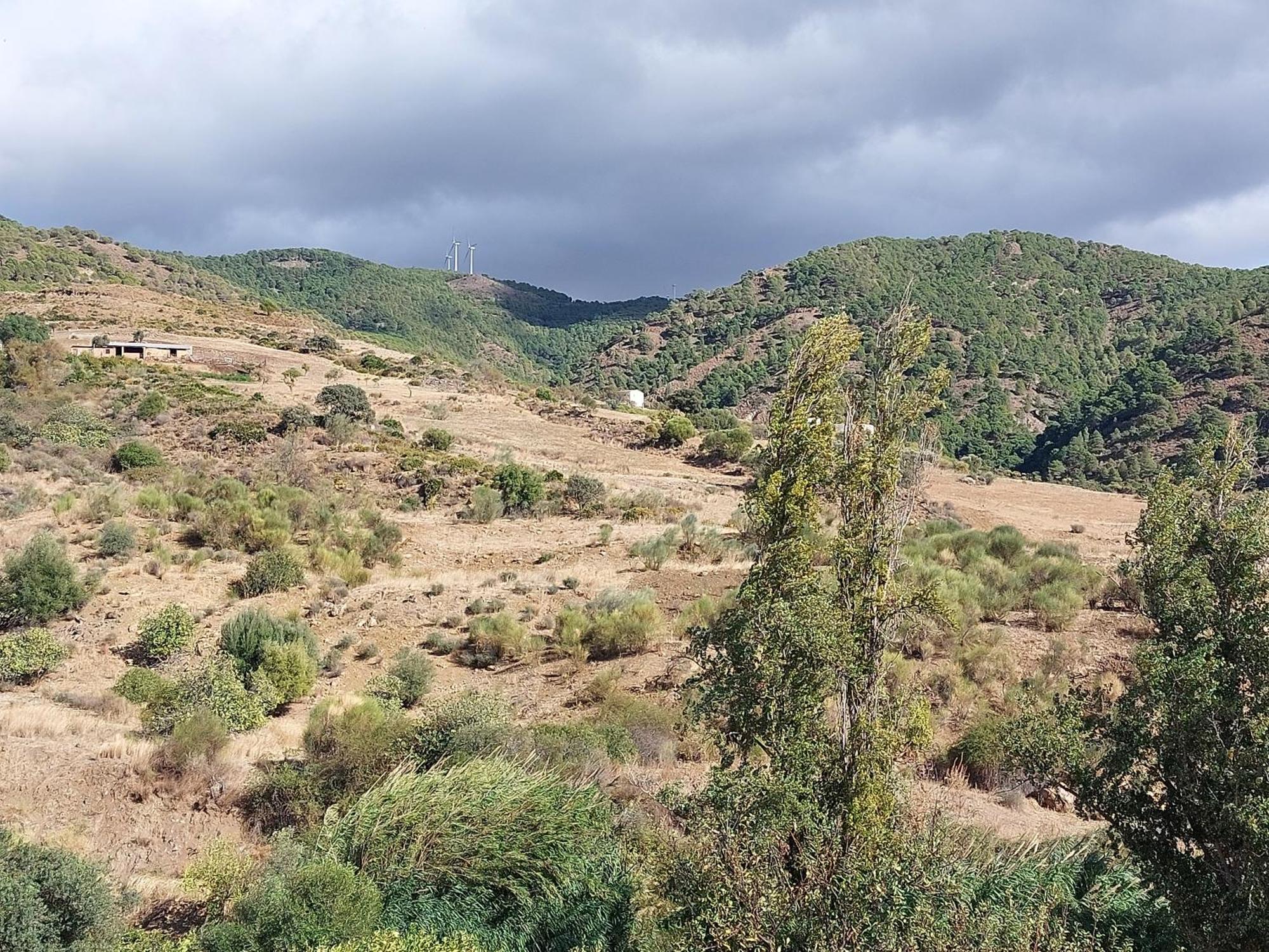El Bufon De La Corte Carratraca Dış mekan fotoğraf