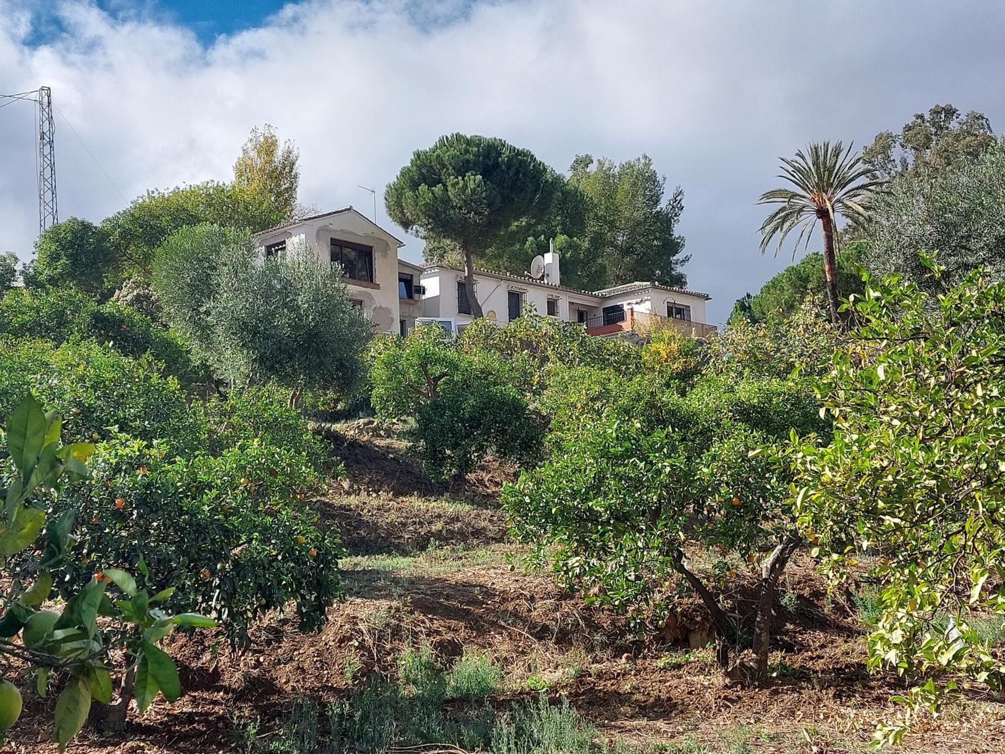 El Bufon De La Corte Carratraca Dış mekan fotoğraf