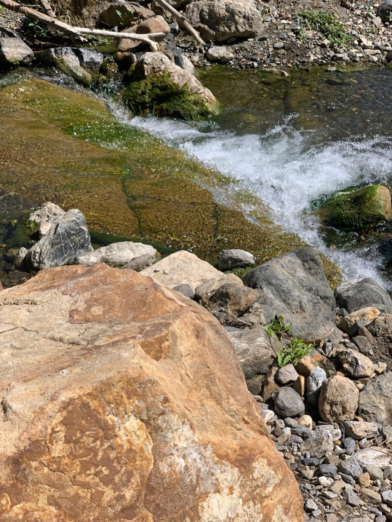 El Bufon De La Corte Carratraca Dış mekan fotoğraf